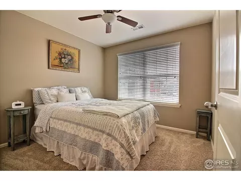 1528 Millfleet Dr, Windsor, CO 80550 photo 29