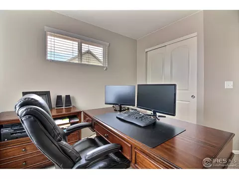 1528 Millfleet Dr, Windsor, CO 80550 photo 32