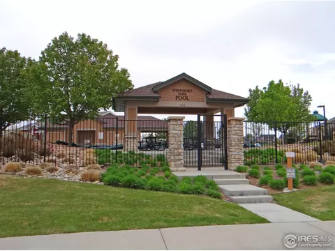 1528 Millfleet Dr, Windsor, CO 80550 photo 39