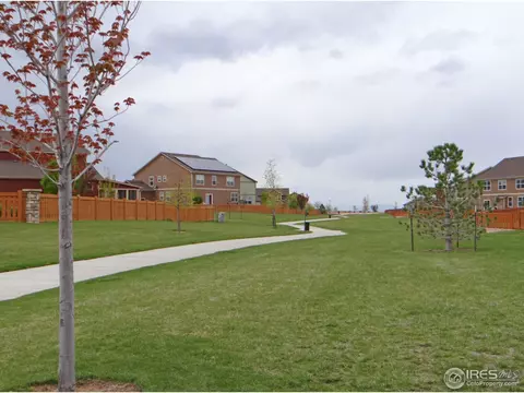 1528 Millfleet Dr, Windsor, CO 80550 photo 38