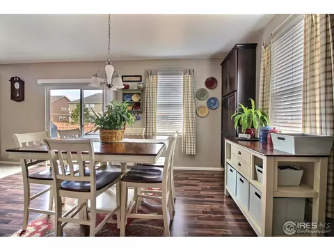 1528 Millfleet Dr, Windsor, CO 80550 photo 16