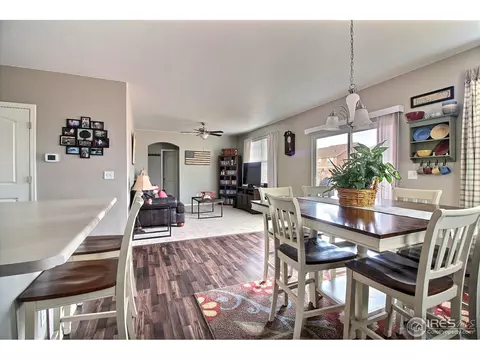 1528 Millfleet Dr, Windsor, CO 80550 photo 17