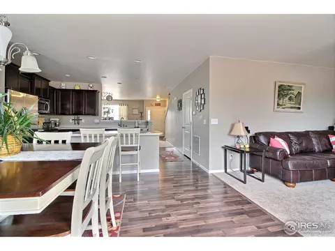 1528 Millfleet Dr, Windsor, CO 80550 photo 19