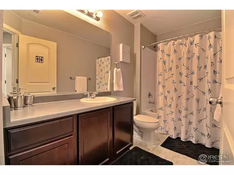 1528 Millfleet Dr, Windsor, CO 80550 photo 33