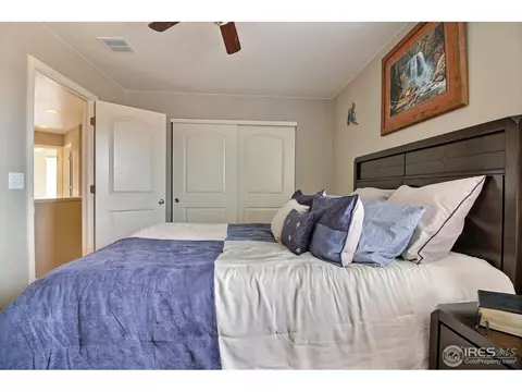 1528 Millfleet Dr, Windsor, CO 80550 photo 28