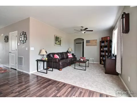1528 Millfleet Dr, Windsor, CO 80550 photo 20