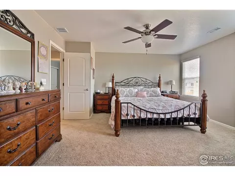1528 Millfleet Dr, Windsor, CO 80550 photo 23