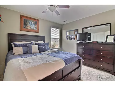 1528 Millfleet Dr, Windsor, CO 80550 photo 27