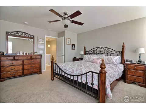 1528 Millfleet Dr, Windsor, CO 80550 photo 22