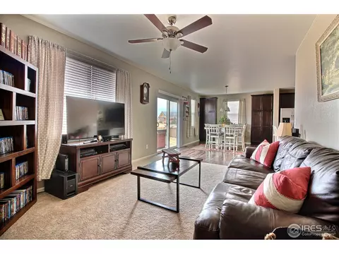 1528 Millfleet Dr, Windsor, CO 80550 photo 21