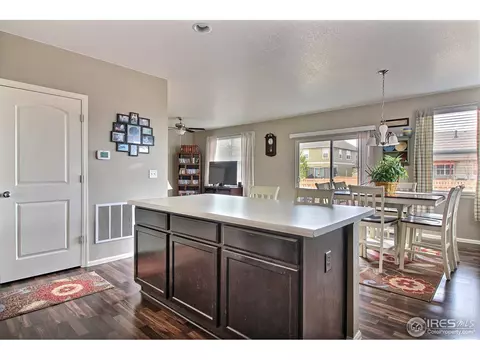 1528 Millfleet Dr, Windsor, CO 80550 photo 15