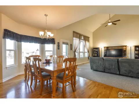5674 Summerlyn Ct, Windsor, CO 80550 photo 10