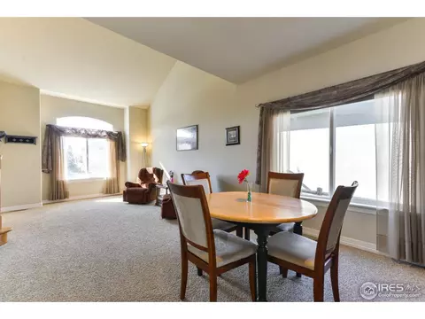 5674 Summerlyn Ct, Windsor, CO 80550 photo 12