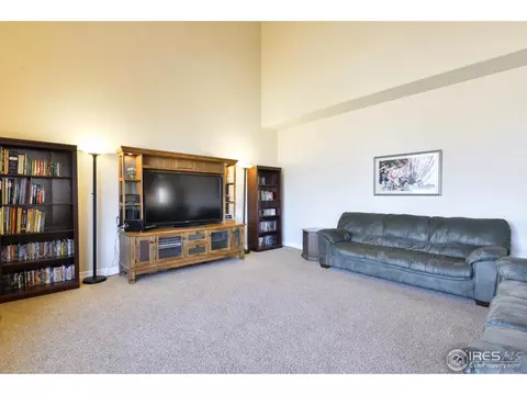 5674 Summerlyn Ct, Windsor, CO 80550 photo 4