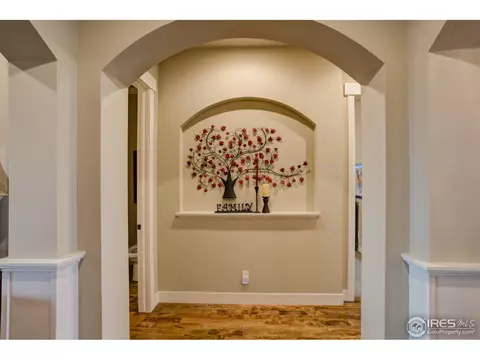7246 Crystal Downs Dr, Windsor, CO 80550 photo 25
