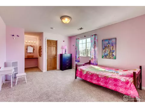 4139 E 105th Ave, Thornton, CO 80233 photo 8