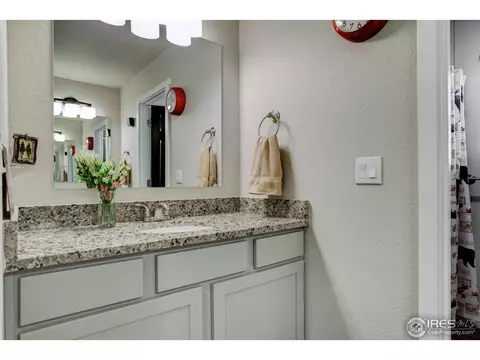 325 Brophy Ct, Frederick, CO 80530 photo 22