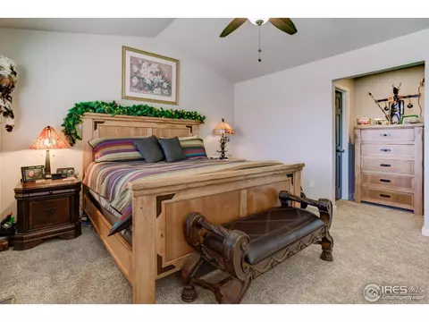 325 Brophy Ct, Frederick, CO 80530 photo 26