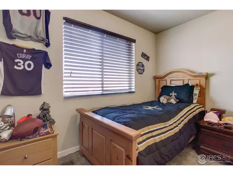 325 Brophy Ct, Frederick, CO 80530 photo 35