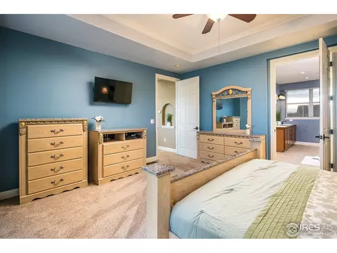 37012 Soaring Eagle Cir, Severance, CO 80550 photo 10
