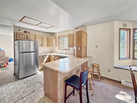 11769 Black Hawk Dr, Conifer, CO 80433 photo 5