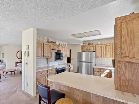 11769 Black Hawk Dr, Conifer, CO 80433 photo 10