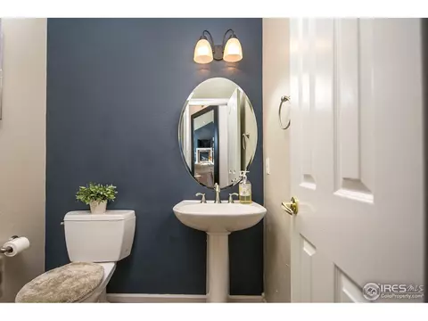 210 Pelican Cv, Windsor, CO 80550 photo 5