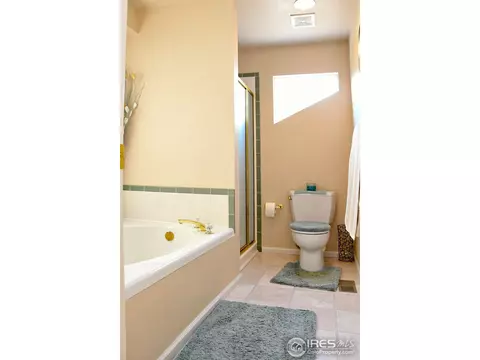 210 Pelican Cv, Windsor, CO 80550 photo 12