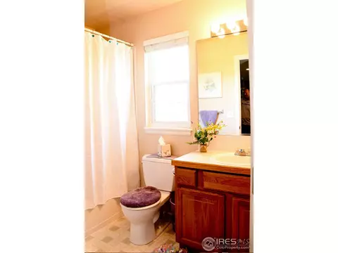 210 Pelican Cv, Windsor, CO 80550 photo 17