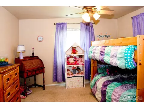 210 Pelican Cv, Windsor, CO 80550 photo 16