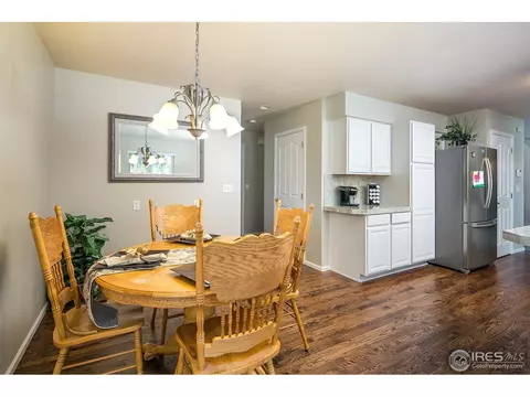 210 Pelican Cv, Windsor, CO 80550 photo 9