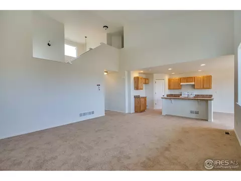 339 Mt Bross Ave, Severance, CO 80550 photo 11