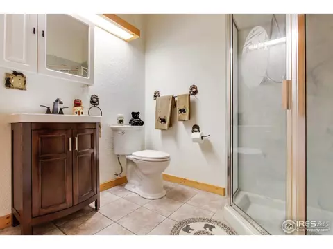 601 Old Corral Rd, Bailey, CO 80421 photo 23