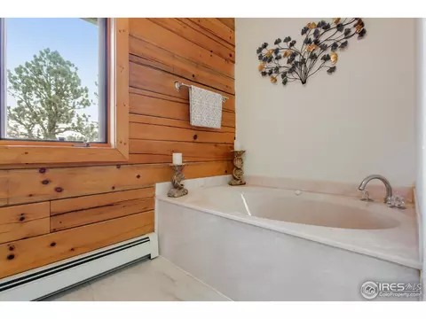 601 Old Corral Rd, Bailey, CO 80421 photo 18
