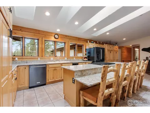 601 Old Corral Rd, Bailey, CO 80421 photo 5