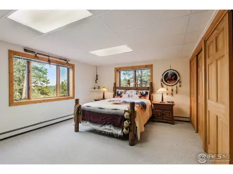 601 Old Corral Rd, Bailey, CO 80421 photo 27