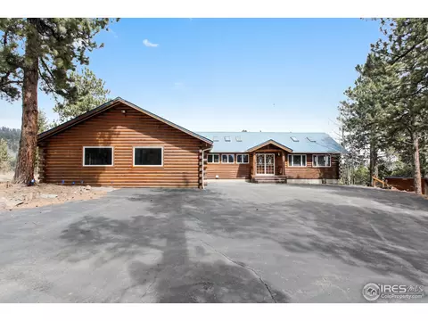 601 Old Corral Rd, Bailey, CO 80421 photo 4