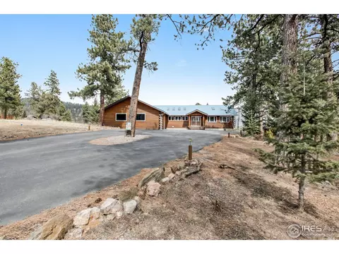 601 Old Corral Rd, Bailey, CO 80421 photo 3