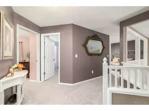 2573 E 131st Pl, Thornton, CO 80241 photo 25