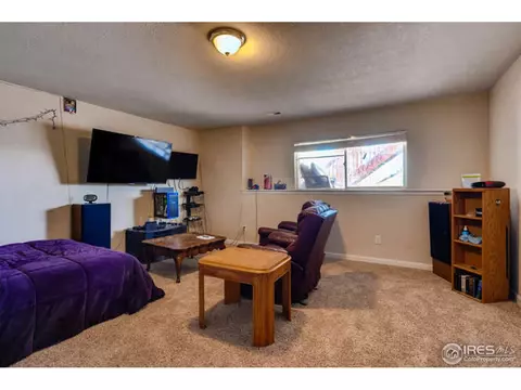 7560 E 129th Pl, Thornton, CO 80602 photo 21