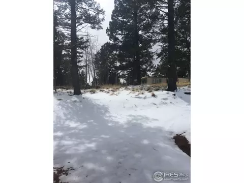 416 Alpine View Rd, Divide, CO 80814 photo 19