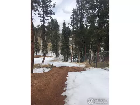 416 Alpine View Rd, Divide, CO 80814 photo 18
