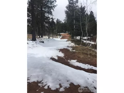 416 Alpine View Rd, Divide, CO 80814 photo 14