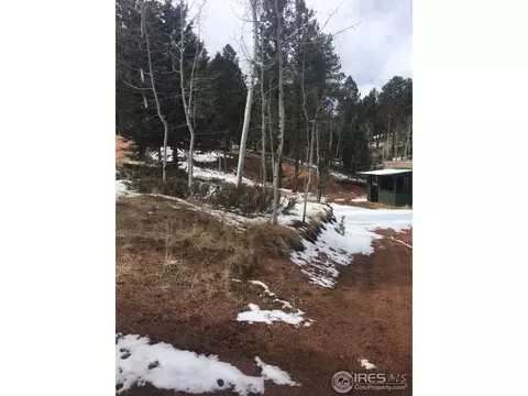 416 Alpine View Rd, Divide, CO 80814 photo 22