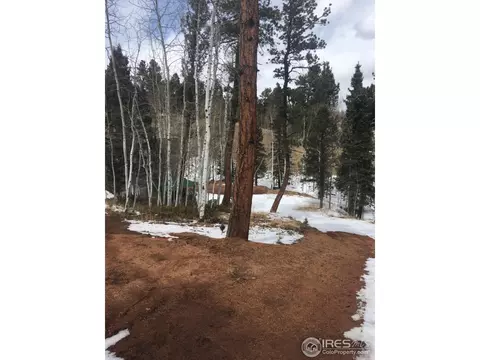 416 Alpine View Rd, Divide, CO 80814 photo 26