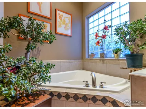 8475 Sand Dollar Dr, Windsor, CO 80528 photo 21