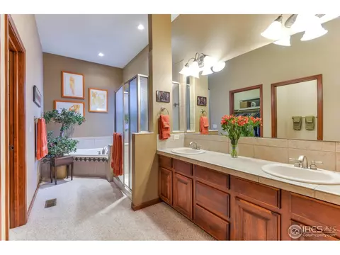 8475 Sand Dollar Dr, Windsor, CO 80528 photo 20