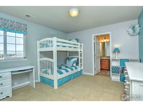 3522 Wolverine Loop, Broomfield, CO 80023 photo 15