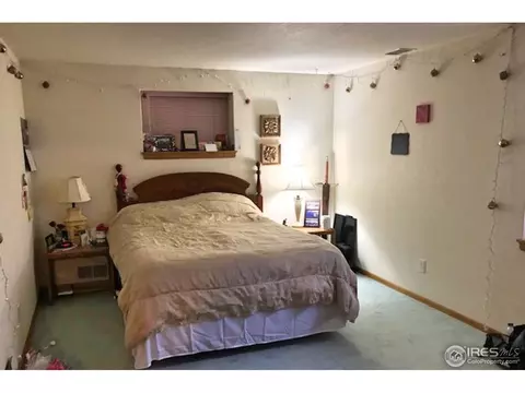 1226 Walnut St, Windsor, CO 80550 photo 20