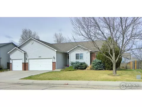 1226 Walnut St, Windsor, CO 80550 photo 1